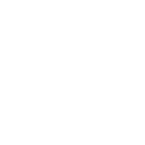Icostore