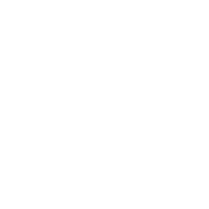 The Promotional Specialists
