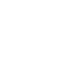 Dryvve