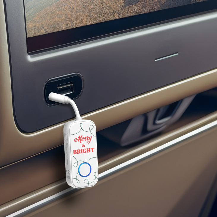 Flyte Bluetooth® Audio Adapter
